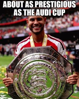 The audi cup memes